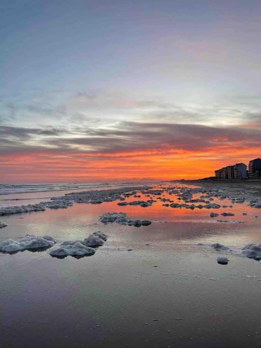 Face A La Mer, Appartement Rdc Bray Dunes 외부 사진