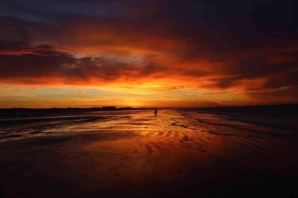 Face A La Mer, Appartement Rdc Bray Dunes 외부 사진