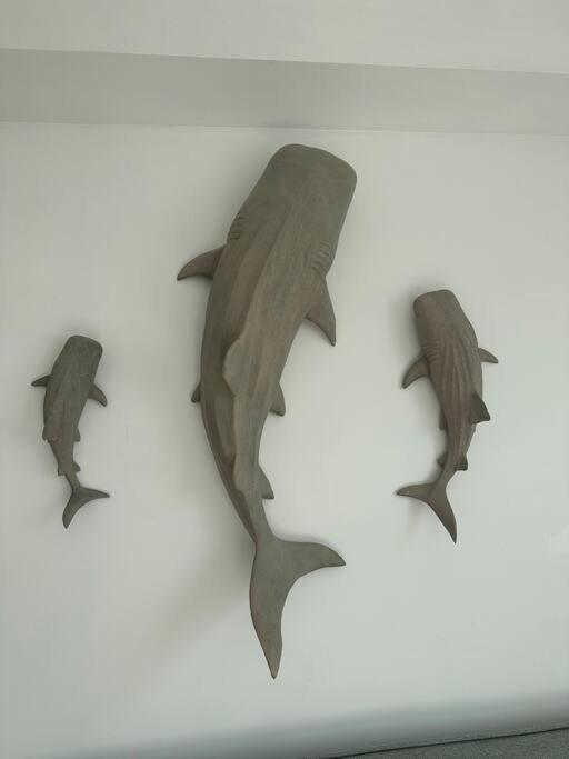 Face A La Mer, Appartement Rdc Bray Dunes 외부 사진