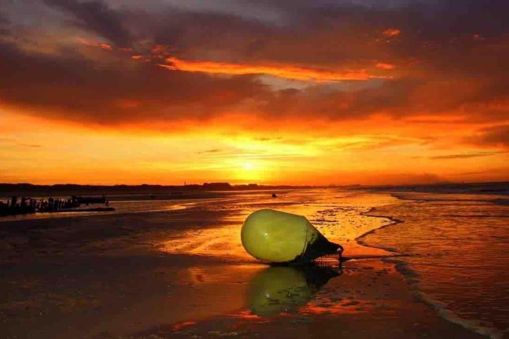 Face A La Mer, Appartement Rdc Bray Dunes 외부 사진